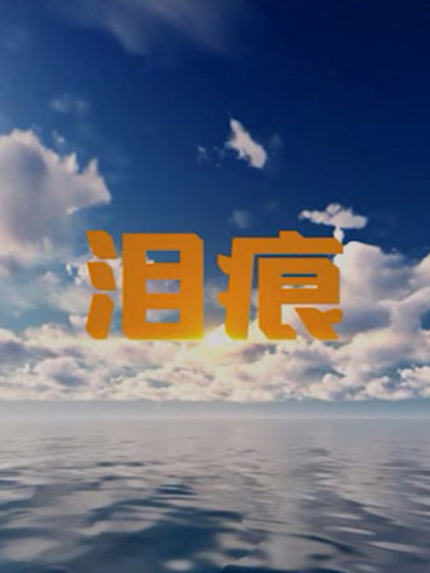 泪痕海报