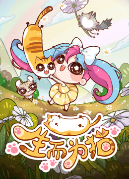 生而为猫海报