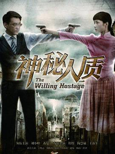 神秘人质海报