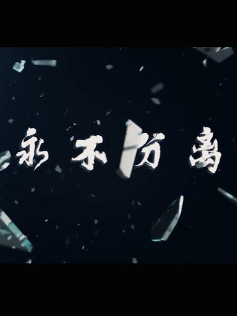 永不分离海报
