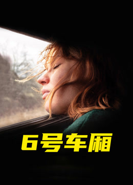 6号车厢海报