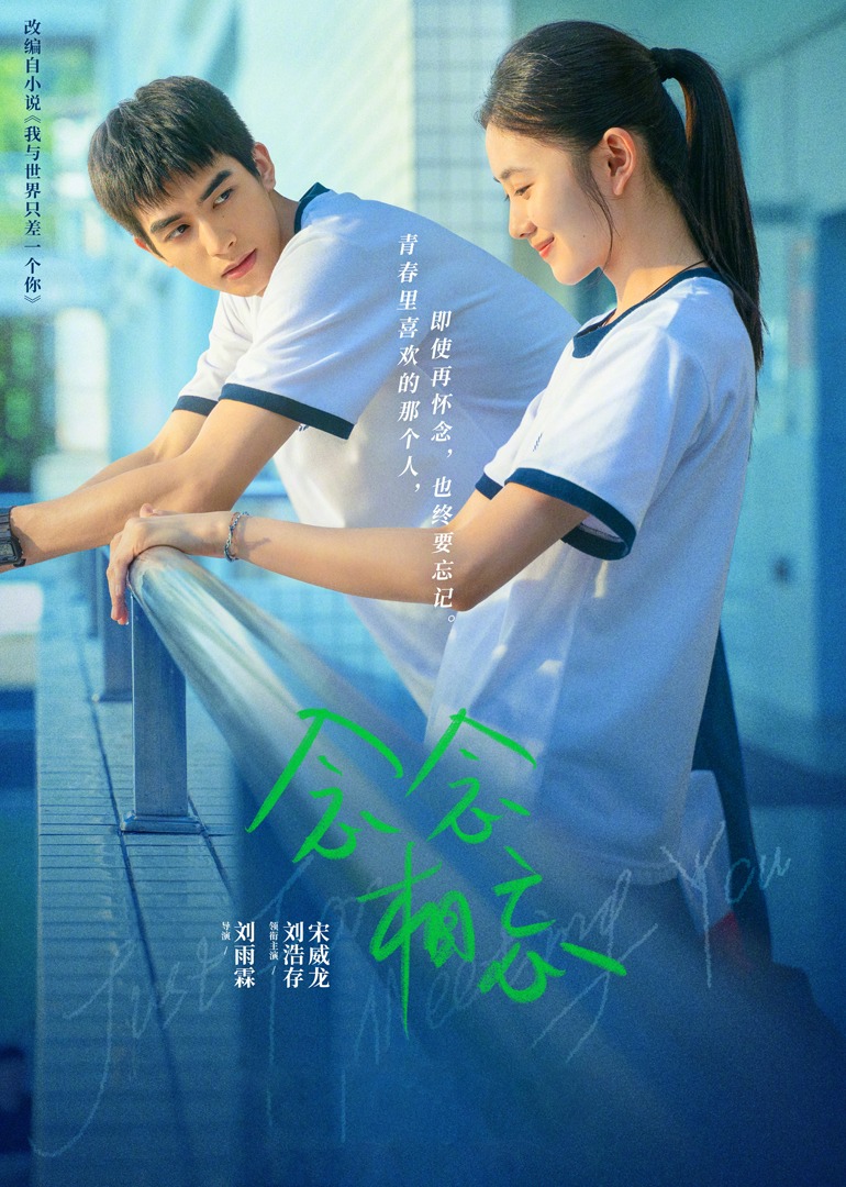 念念相忘海报