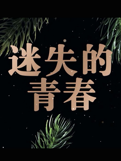 迷失的青春海报