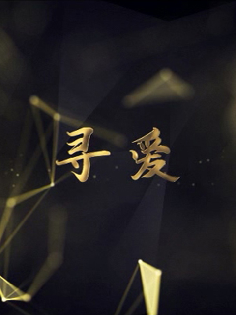 寻爱海报