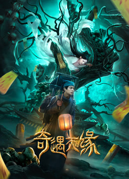 奇遇天缘海报