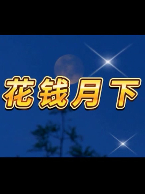 花钱月下海报