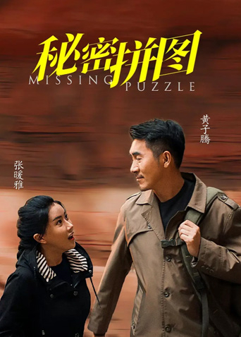 秘密拼图海报