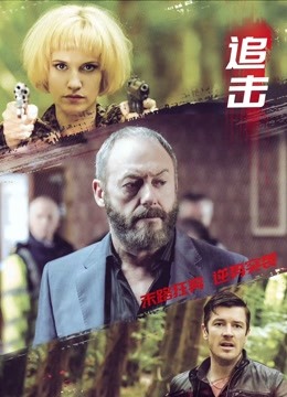追击（2017）海报