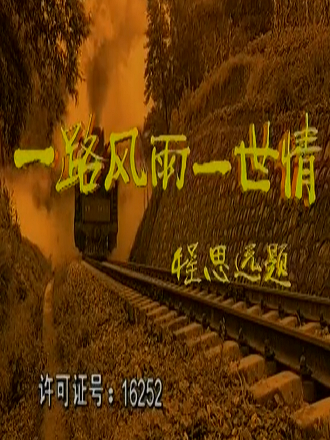 一路风雨一世情海报