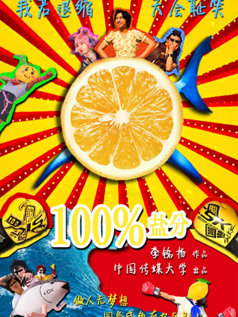 100%盐分海报