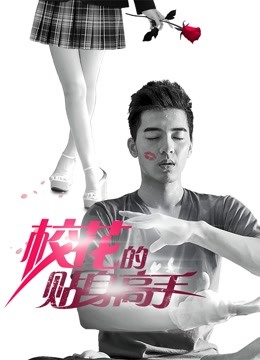 校花的贴身高手海报