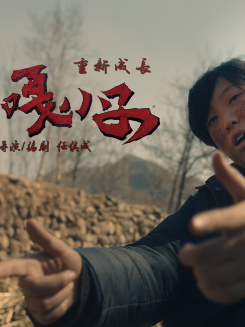 嘎小子海报