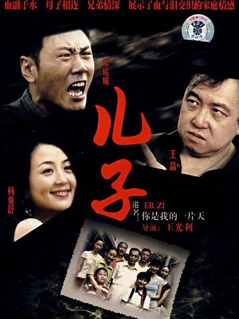 你是我的一片天海报