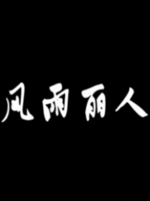 风雨丽人海报