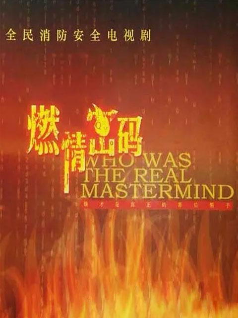 燃情密码海报