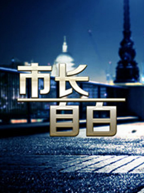 市长的自白海报