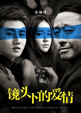 镜头下的爱情海报