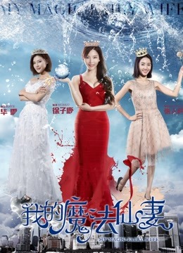 我的魔法仙妻海报