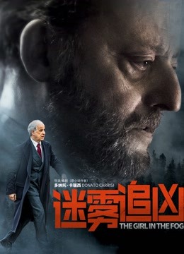 迷雾追凶（普通话）海报
