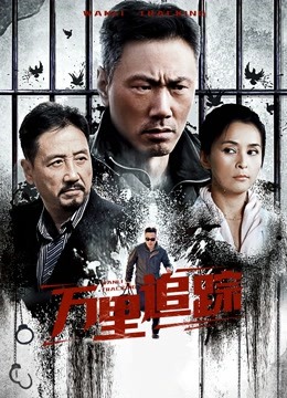 万里追踪海报