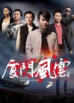 厦门风云海报