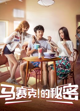 马赛克的秘密海报