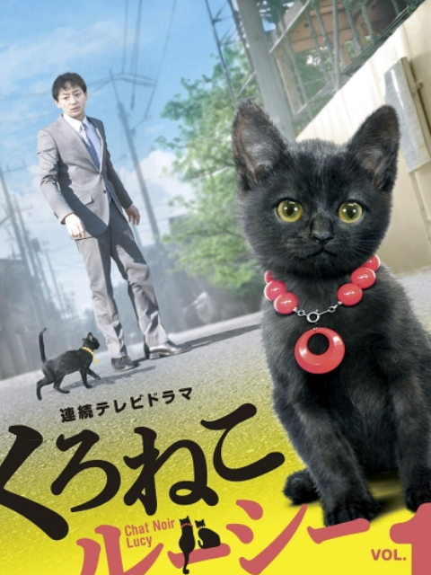 黑猫露西海报