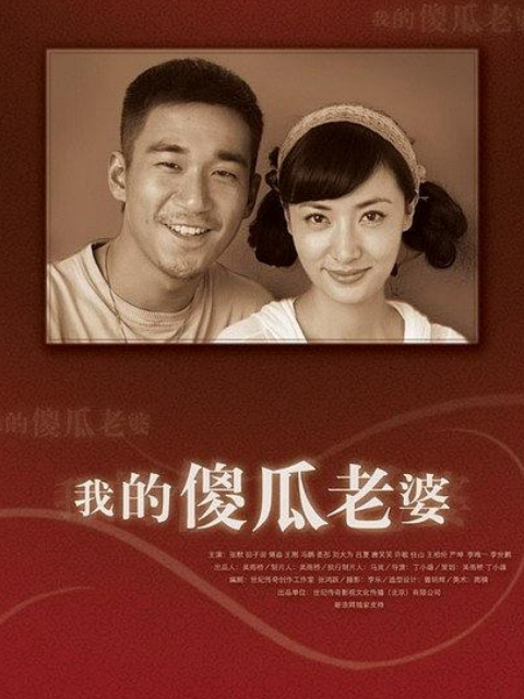 我的傻瓜老婆海报