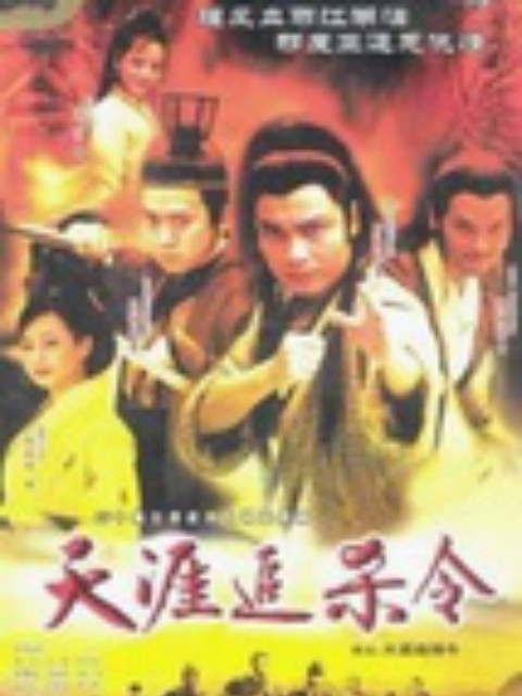 天涯追杀令海报