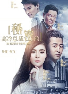 高冷总裁的秘密海报