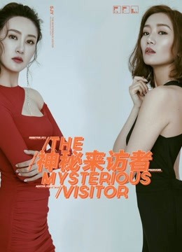 神秘来访者海报