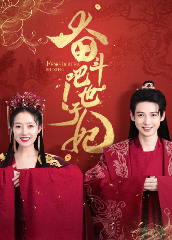 奋斗吧！世子妃海报