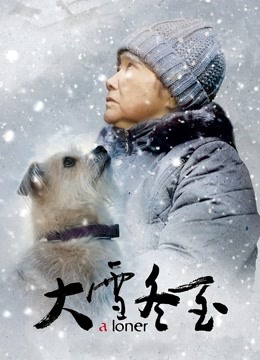 大雪冬至海报