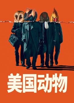 美国动物海报