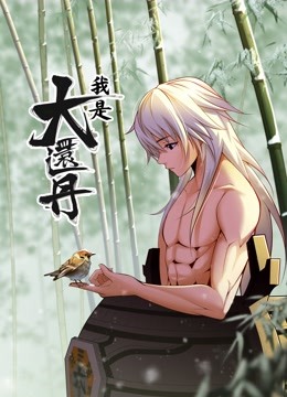我是大还丹 动态漫画海报