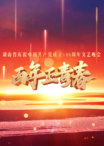 百年正青春海报