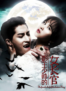 影王少帅的女长官海报