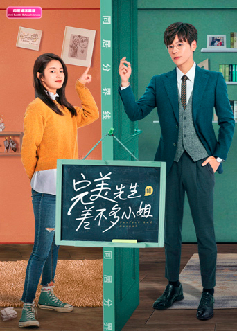 完美先生和差不多小姐 印尼语字幕版海报