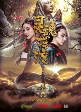 灵魂摆渡黄泉海报