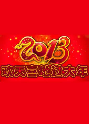 欢天喜地过大年海报