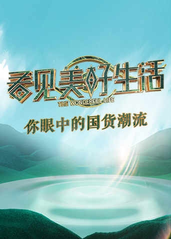 看见美好生活海报