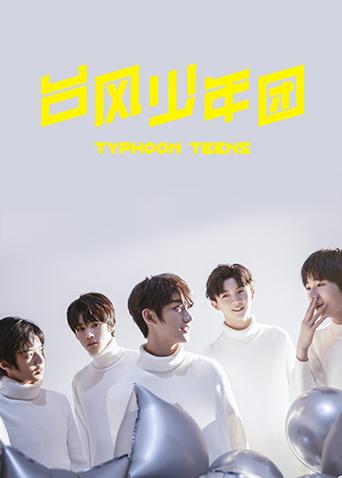台风少年团个站海报
