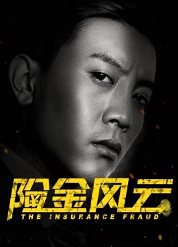 险金风云海报