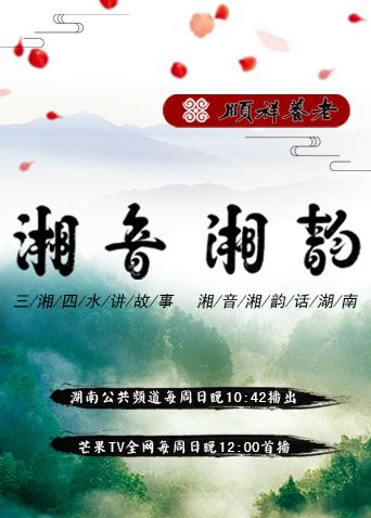 湘音湘韵 2018海报