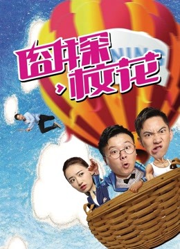 囧探校花海报