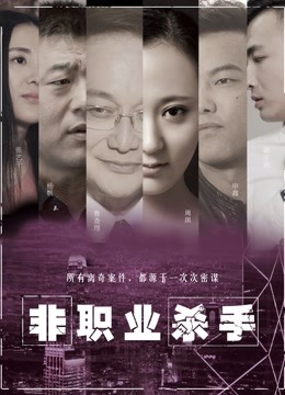 非职业杀手海报