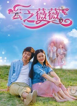 云之薇薇海报