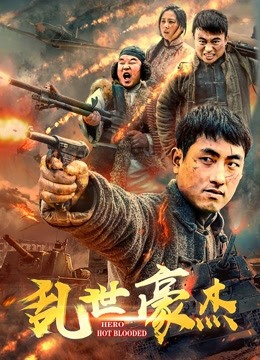 乱世豪杰海报