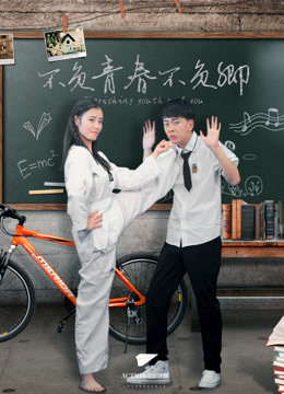 不负青春不负卿海报