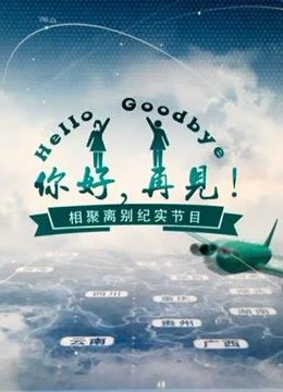 你好再见海报